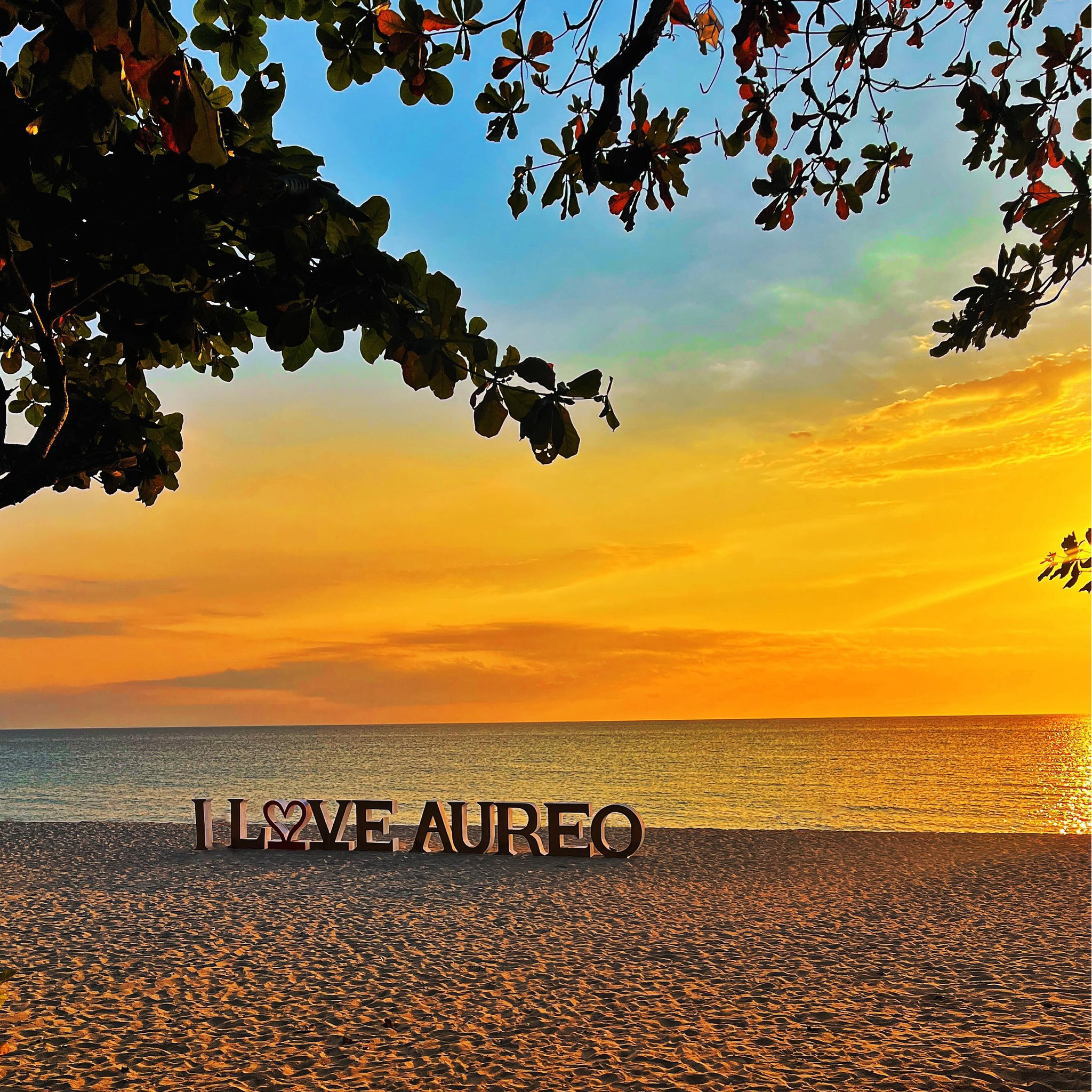 Aureo Resort